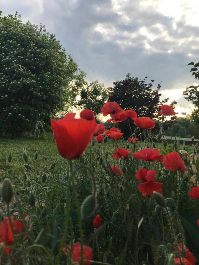 Chambre Is إيس سور تيل المظهر الخارجي الصورة